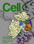 《Cell》发表外泌体大牛Théry C最新综述——通过胞外囊泡通讯：我们在哪里，我们要去哪里