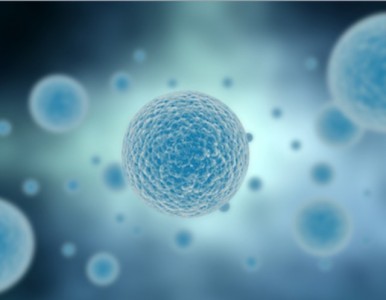 J Natl Cancer Inst：靶向Exosome的HSP70可恢复抗肿瘤免疫反应
