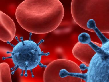 PNAS：外泌体参与机体对疱疹病毒的免疫反应
