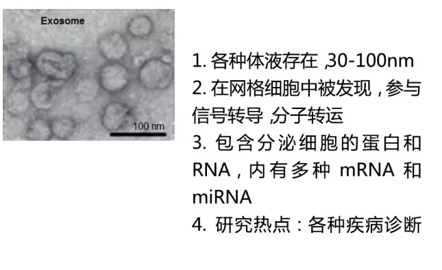 9张图掌握外泌体国内研究现状