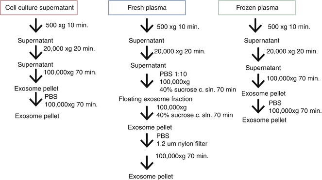 细胞培养上清、新鲜血浆、冻存血浆里外泌体提取的不同方案