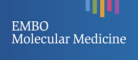 EMBO Mol Med：脉络丛释放外泌体引起全身性炎症疾病