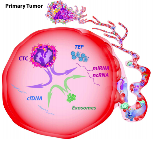 【MD Anderson】循环肿瘤标志物：CTCs、ctDNA和外泌体在精准医学中的“阴”和“阳”