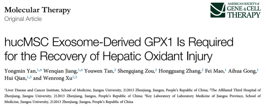 江苏大学许文荣教授、严永敏副教授团队：间充质干细胞外泌体通过GPX1减轻肝脏的氧化应激损伤