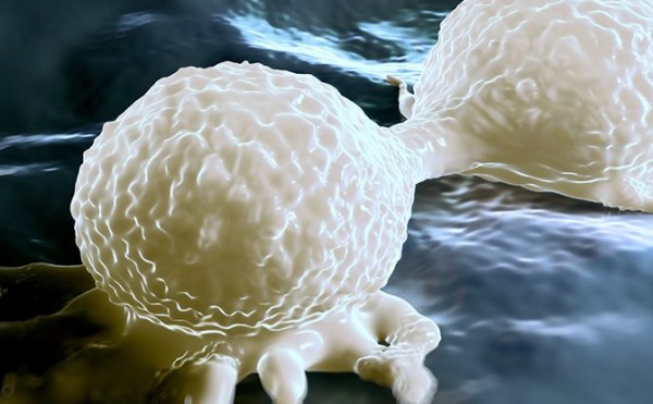 【Cell】肿瘤细胞迫使基质细胞通过外泌体释放无蛋白结合的RNA RN7SL1促进肿瘤的生长和转移