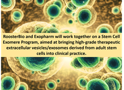 行业资讯 | RoosterBio和Exopharm成立干细胞Exomere合作项目致力于临床治疗级外泌体的开发应用