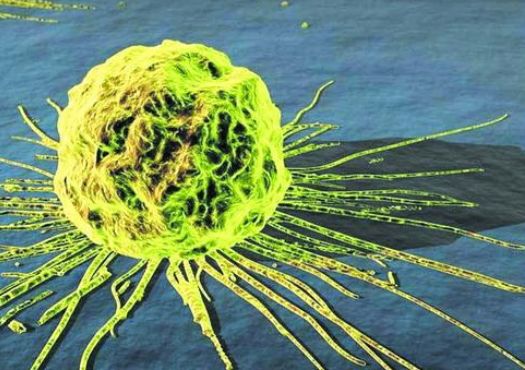 【Theranostics】NK细胞外泌体具有杀伤黑色素瘤的作用