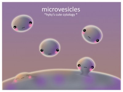 Microvesicles与exosomes在血液恶性肿瘤中的作用有什么不同？| Microvesicles同样重要！