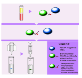 psma-1