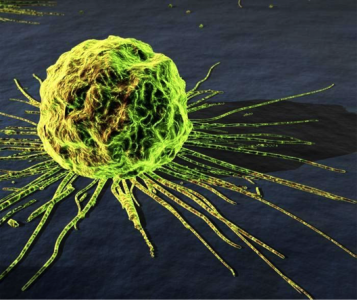 Nature communications：转移前肿瘤细胞释放外泌体通过单核细胞进行肿瘤免疫反应调节