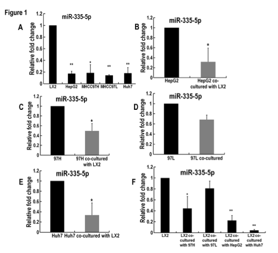 外泌体miR-335可作为肝癌治疗的新策略
