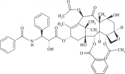 药物递送丨工程化巨噬细胞外泌体装载紫杉醇，可有效靶向肺转移部位