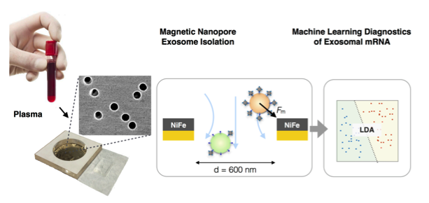 美科学家将纳米流控技术与机器学习相结合利用外泌体精确诊断胰腺癌