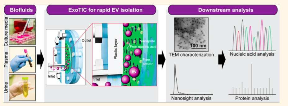 ExoTIC：一种新的外泌体分离芯片