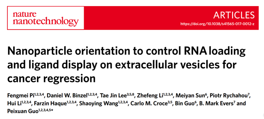 【最新】Nature Nanotechnology：华人科学家郭培宣教授发明新型RNA纳米技术来“装饰”外泌体可有效抑制肿瘤生长