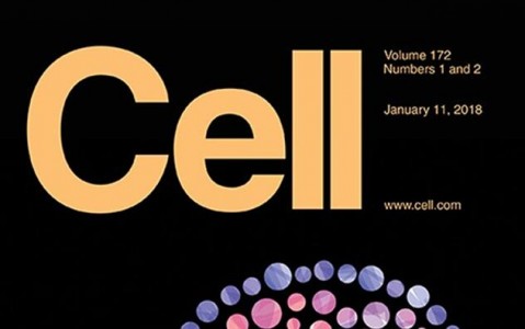 Cell杂志同期发表2篇外泌体相关文章