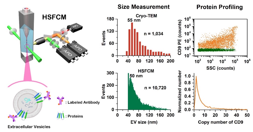 【ACS Nano】超高灵敏流式检测技术实现粒径低至40 nm细胞外囊泡的单颗粒水平多参数定量分析