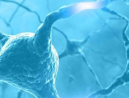 交大医学院附属新华医院研究人员发现肿瘤相关巨噬细胞的外泌体促进胃癌细胞迁移