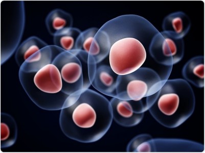 【Hepatology】中山大学研究发现肝细胞癌通过外泌体miR-103增加血管通透性并促进癌细胞转移