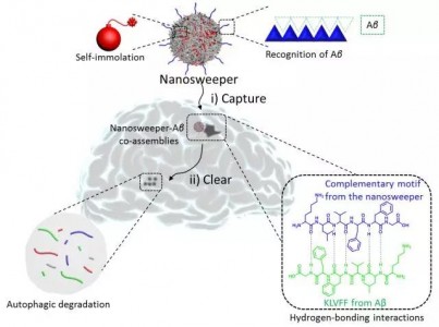 国家纳米科学中心王浩研究员课题组：“智能”生物纳米材料研究取得进展