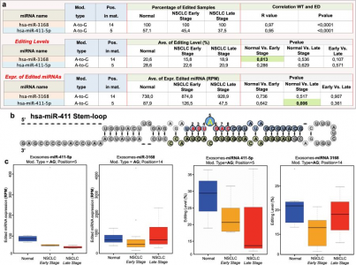 【接地气小文章推荐二】组织和血浆外泌体中miRNA编辑差异与肺癌发生的相关性