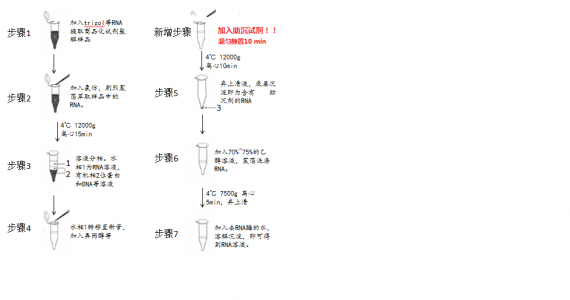 【新手福利】如何使用trizol抽提细胞外囊泡中RNA