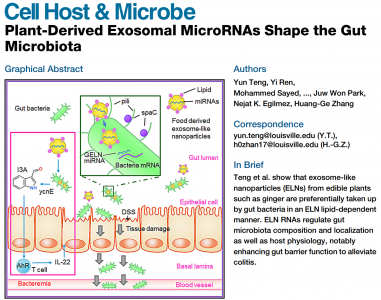 生姜外泌体miRNAs调节肠道菌群缓解肠道炎症| Cell Host & Microbe