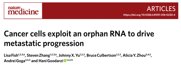 Nature Medicine：驱动癌症转移进展的癌细胞特性性非编码小RNA存在于细胞外囊泡中