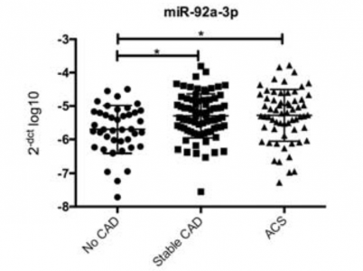 Circ Res：动脉粥样硬化促进功能性miRNA-92a-3p包装进内皮微泡