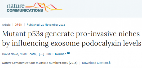 Nature communication：突变型P53影响外泌体足糖萼蛋白水平促进肿瘤侵袭