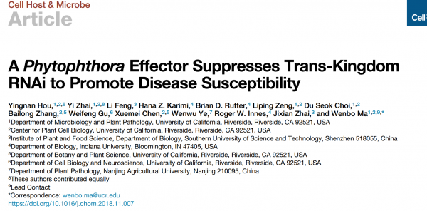 疫霉菌效应器抑制跨界RNAi以促进宿主疾病易感性 | Cell Host Microbe