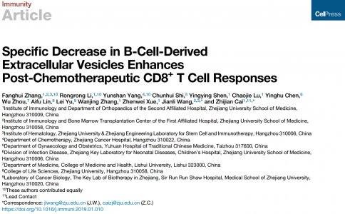 Immunity|浙大蔡志坚、王建莉组：抑制B细胞EVs可增强化疗后CD8阳性 T细胞免疫应答
