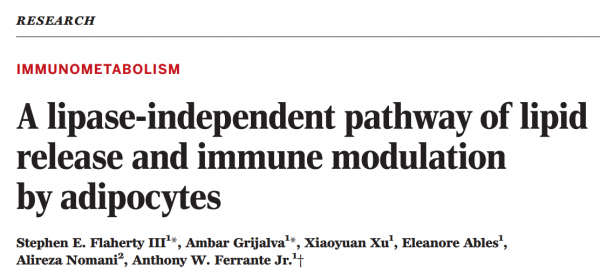 Science：脂肪细胞外泌体对巨噬细胞发挥调节功能