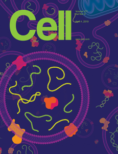 Cell同期发表多篇外泌体与细胞外RNA文章