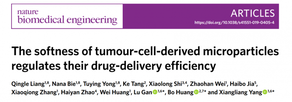 华中科技大学：肿瘤细胞微粒的柔软性调节其药物递送效率 | Nature Biomedical Engineering