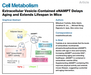 Cell子刊揭示年轻脂肪组织胞外囊泡抗衰老并延长寿命的作用机制