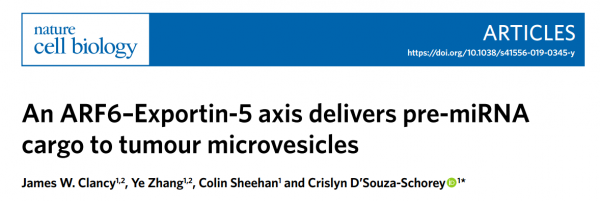 Nature Cell Biology报道pre-miRNA进入肿瘤微泡的调控机制