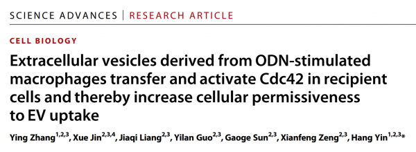 清华大学尹航组揭示细胞外囊泡“扩散”免疫反应作用机制 | Science Advances