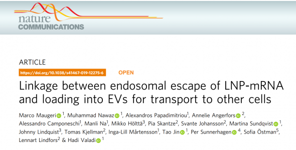 Nature子刊：RNA疗法中被困在胞内体中的少量RNA最终通过外泌体分泌出去进入其它细胞发挥作用
