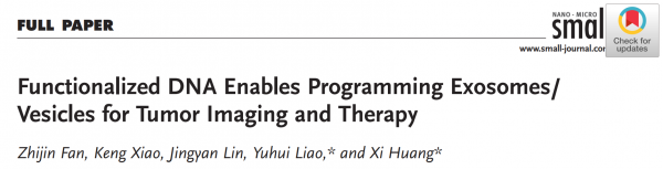 Small：利用工程化的外泌体-DNA-量子点复合体同时实现肿瘤成像和治疗