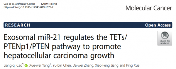 Mol Cancer：外泌体miR-21调节TETs/PTENp1/PTEN途径促进肝细胞癌的生长