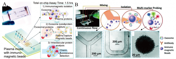上海交通大学综述：基于微流体的外泌体分离和检测技术在疾病诊断中的进展