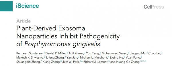 Cell子刊：植物外泌体抑制牙龈卟啉单胞菌的致病性