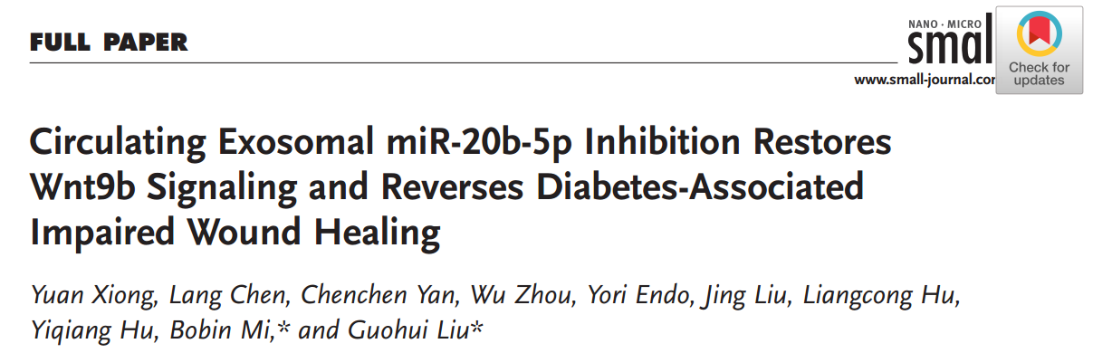 Small：抑制糖尿病患者外泌体miR-20b-5p可促进伤口愈合