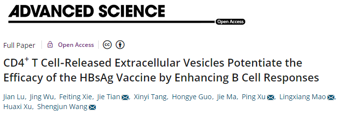 Advanced Science：T细胞EVs可促进B细胞反应增强疫苗的功效