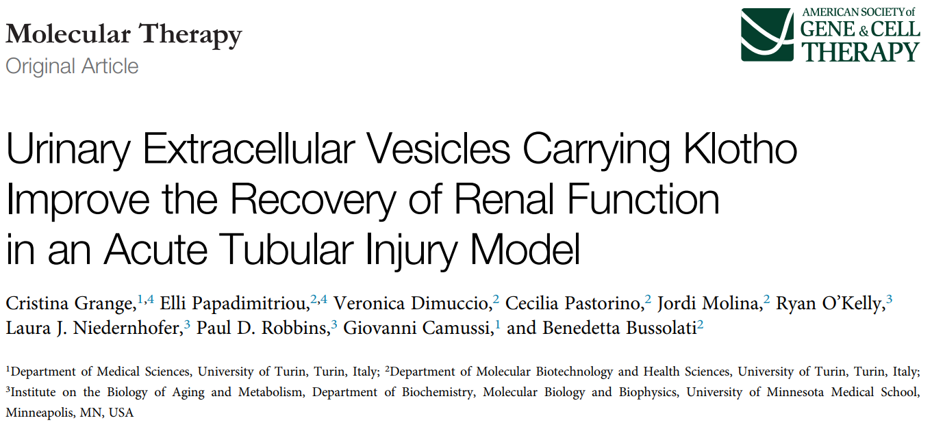 Mol Ther：尿EV通过Klotho改善急性肾小管损伤模型中肾功能恢复