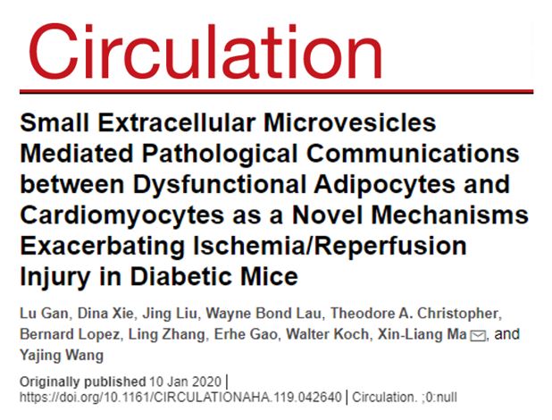 Circulation：糖尿病通过脂肪细胞sEV的miR-130b-3p加剧心脏缺血/再灌注损伤