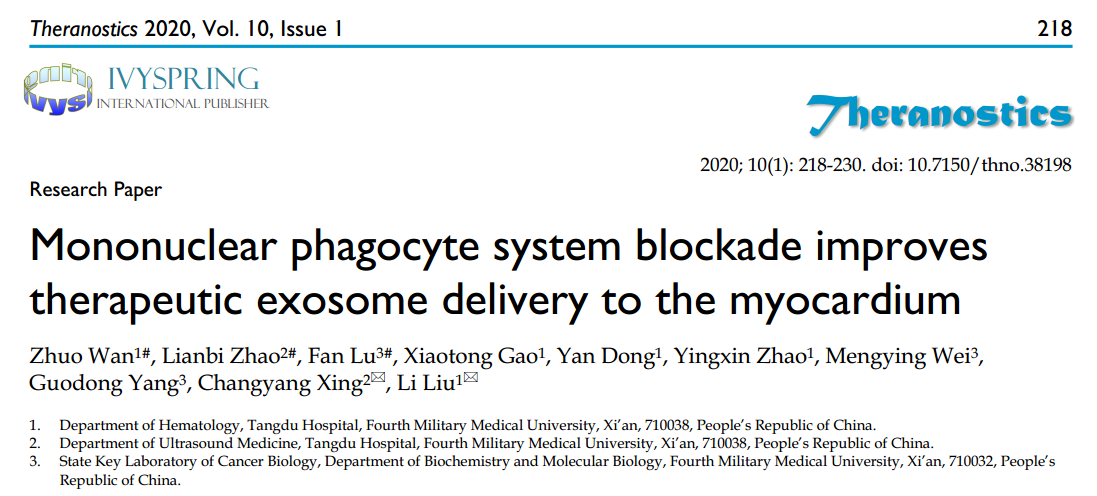 Theranostics：抑制单核吞噬细胞系统可改善治疗性外泌体向心肌的递送
