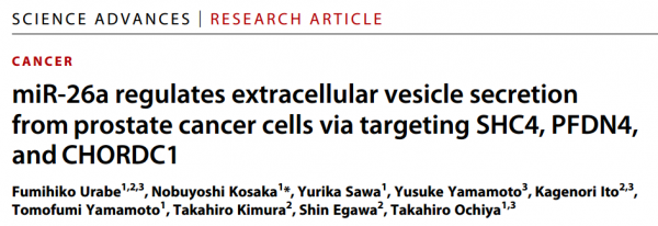 Science子刊：miR-26a调节细胞外囊泡分泌抑制前列腺癌进展