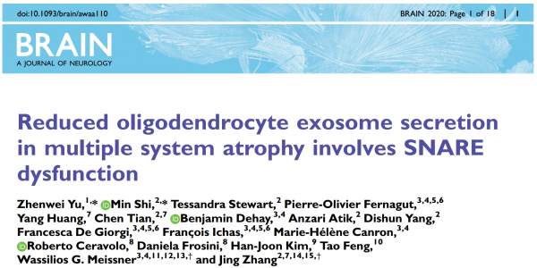 Brain：多系统萎缩中少突胶质细胞外泌体分泌涉及SNARE功能障碍
